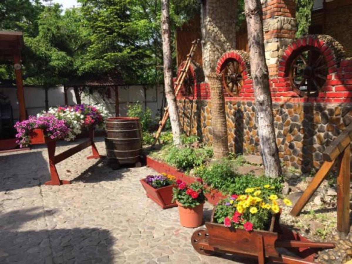 Hotel Casa Romaneasca Otopeni Ngoại thất bức ảnh